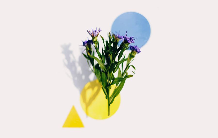 Bridal Beauty Programm, für die schönste Braut an ihrem schönsten Tag